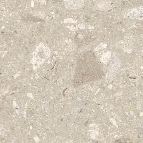 SM-Breccia