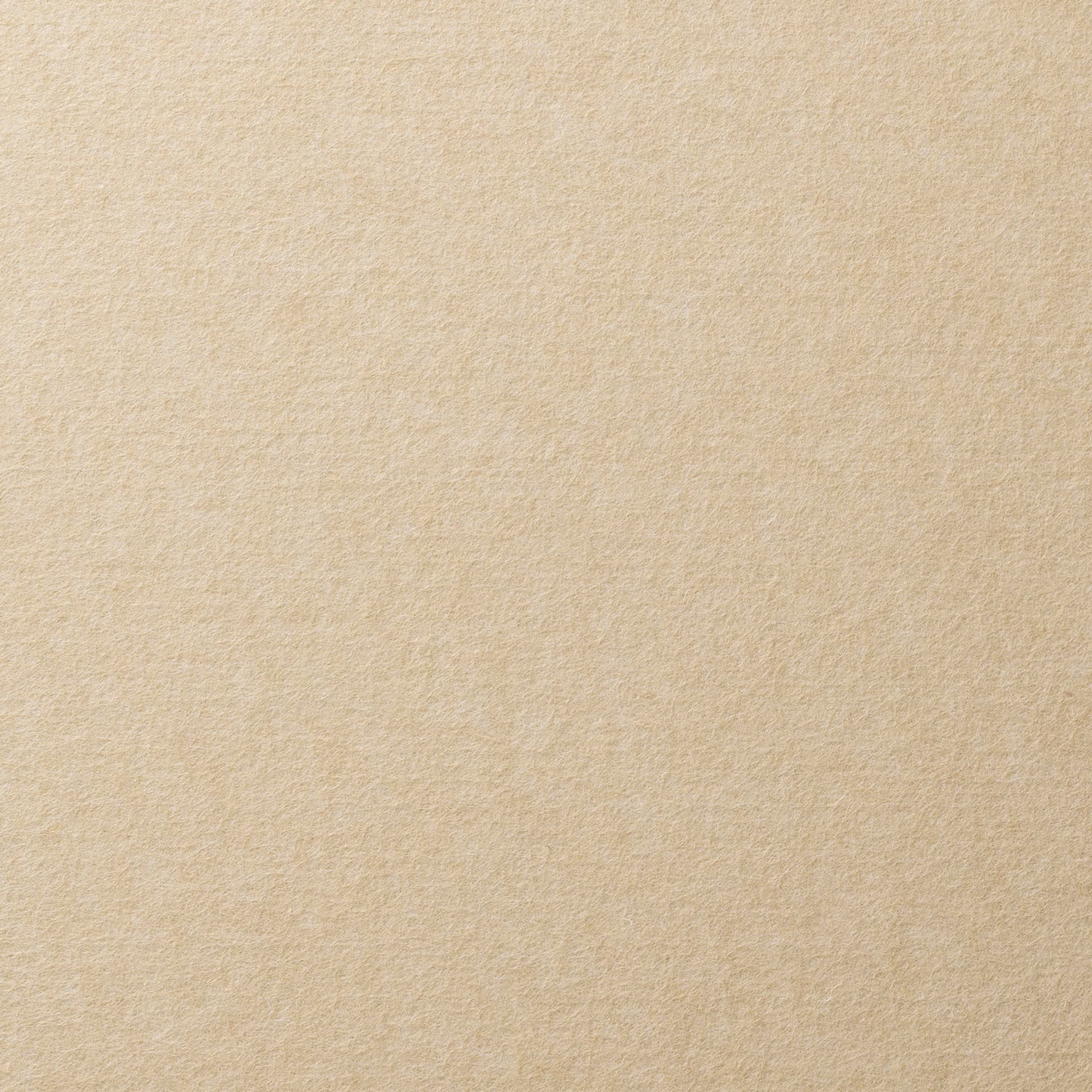 Acoustic Panels Club