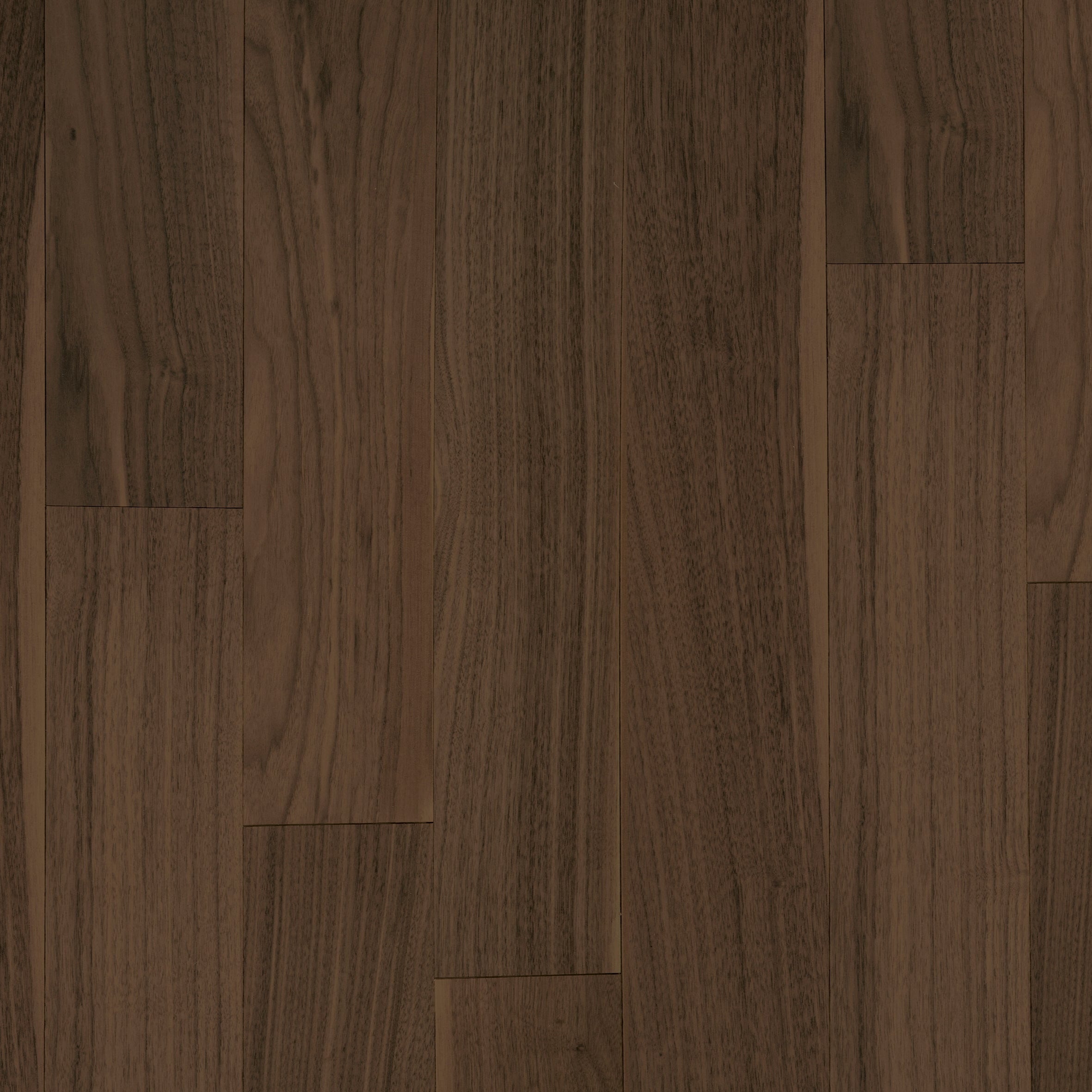 Wild Walnut