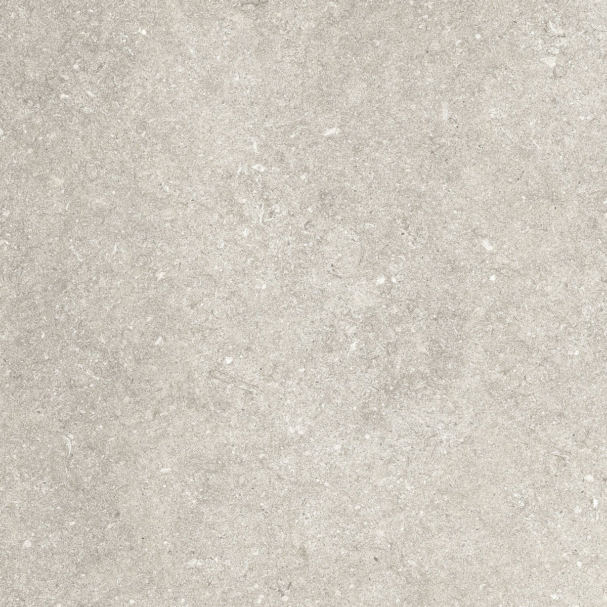 Stone Look Tile Le Reverse - Dune | Interni Austin